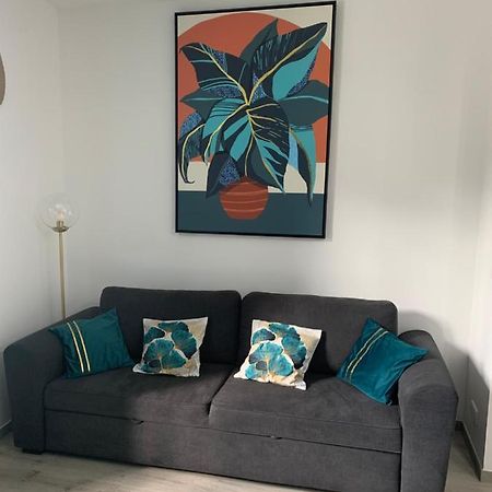 Appartement Etat Neuf La Chantalane -Proche Centre-Ville Cannes Exterior photo